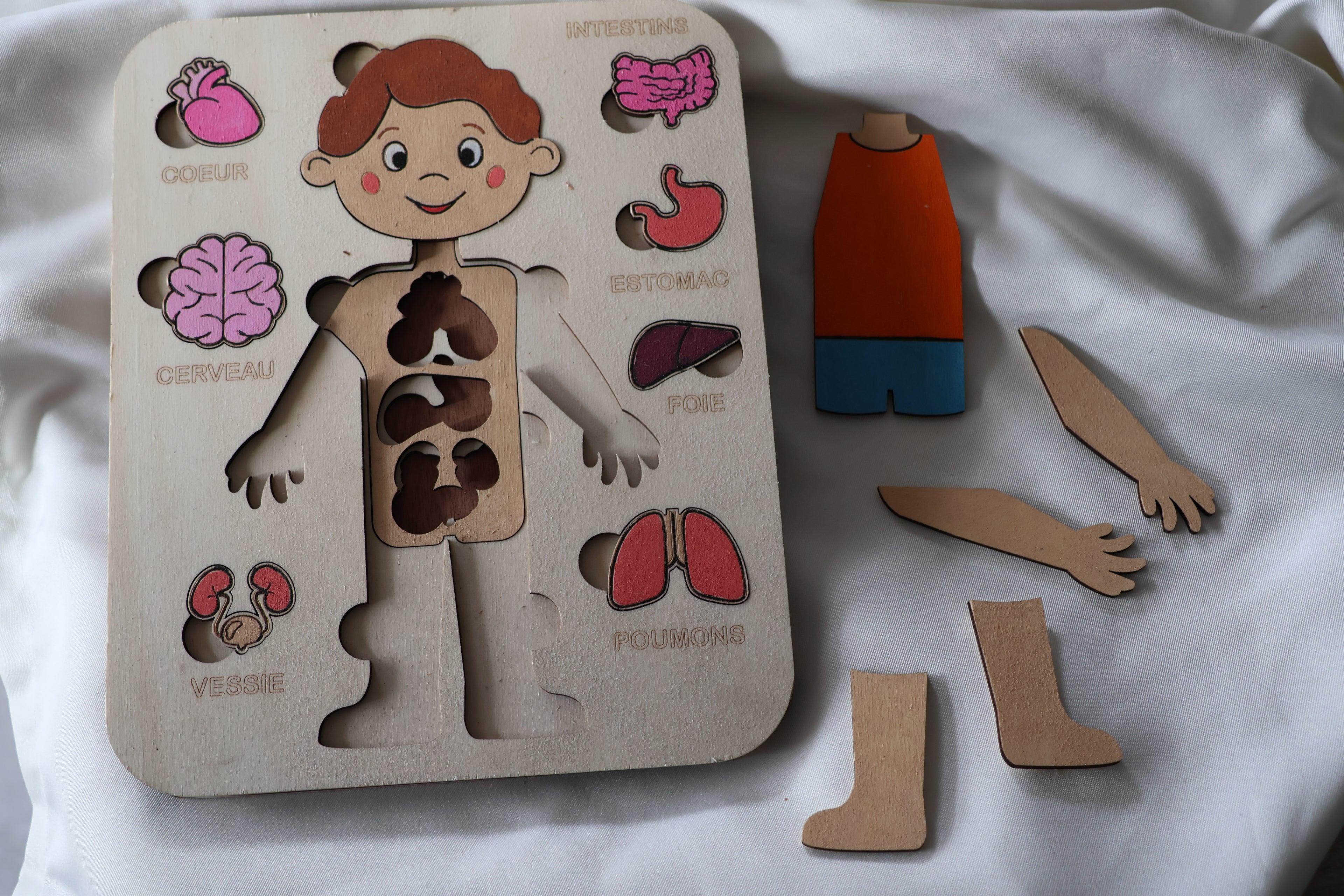 Puzzle bois - Corps humain garçon